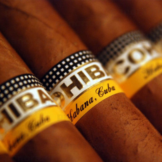 Πουρα Cohiba Short 10'