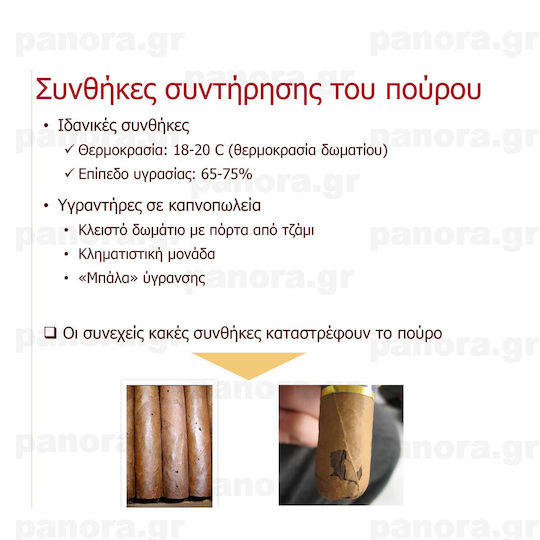 Πουρα Cohiba Club 10'