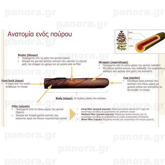Πουρα Romeo Y Julieta Mini 10'