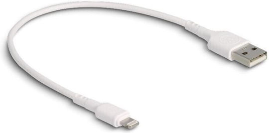 DeLock Редовна USB-A към Lightning кабел Бял 0.3м (87866)