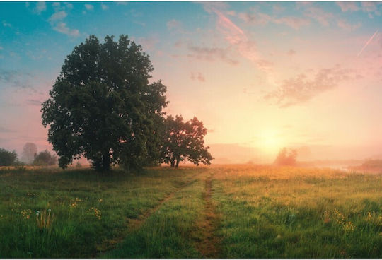 Spring Panoramic Landscape Tablou pe Pânză 80x50cm