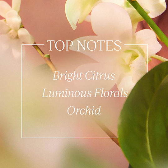 L'Occitane Neroli & Orchidee Ενυδατική Lotion Σώματος για Όλες τις Επιδερμίδες 250ml
