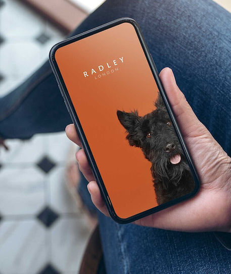 Radley London Aluminium Smartwatch with Heart Rate Monitor (Stone Leather Strap)