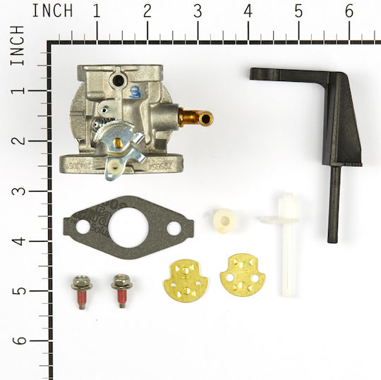 Καρμπυρατερ Briggs & Stratton 798653
