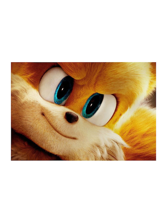 poster Miles Tails Prower Sonic Hedgehog 2 61x90cm Poster464