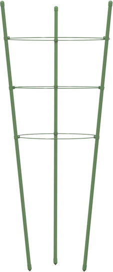 Garden Plant Stakes 3 Rings 5 Pcs Green 60 cm Steel 21.5 x 60 cm