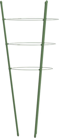 Garden Plant Stakes 3 Rings 5 Pcs Green 60 cm Steel 21.5 x 60 cm