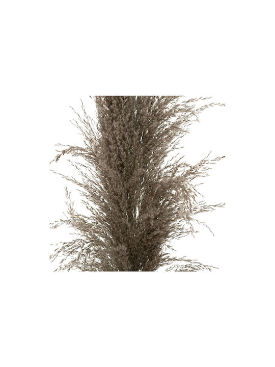 Atmosphera Dried Plant Brown 109cm 3pcs