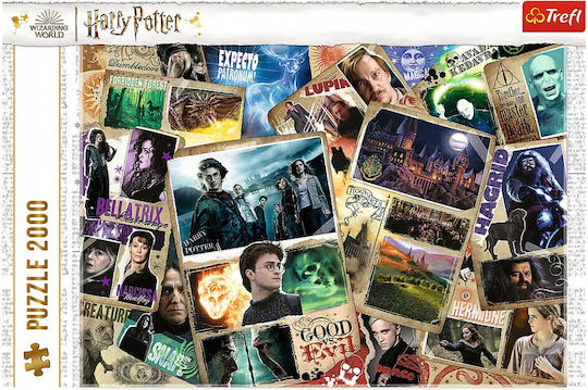 Harry Potter Characters Puzzle 2D 2000 Pieces