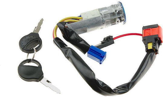 Zündschalter Auto für Peugeot 206 Volkswagen T1