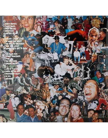 Check Your Head Vinyl