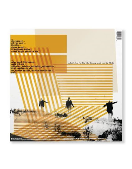 Collapse Into Now Vinyl
