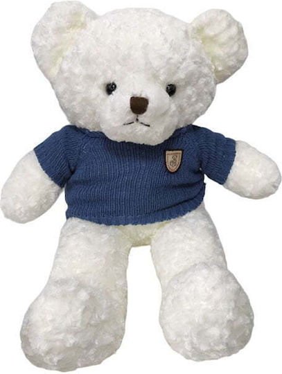 Teddy Plüschbär 65 cm (Verschiedene Designs) 1Stück