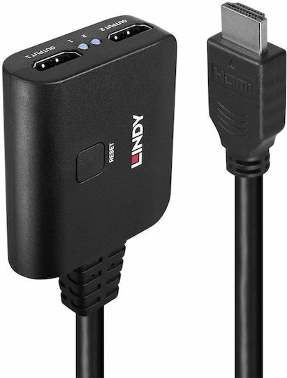 Lindy HDMI / micro USB Male to HDMI / micro USB Female Converter 1 Piece 38356