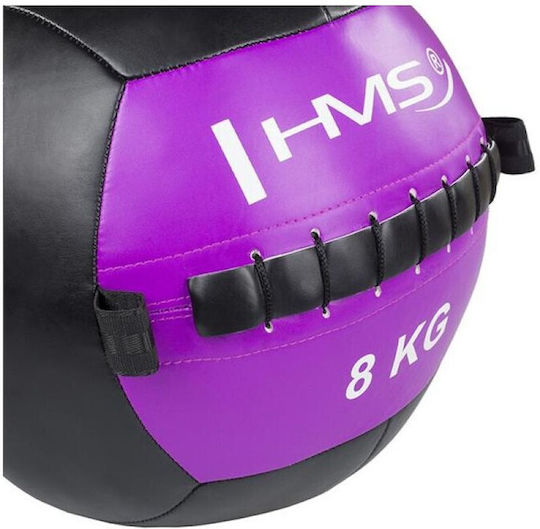 HMS WLB Μπάλα Wall 33cm , 8kg σε Μωβ Χρώμα
