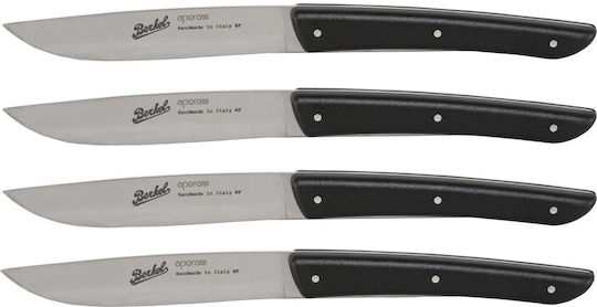 Berkel Knife Steak from Stainless Steel