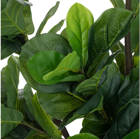 Дърво На Открито Fiddleleaf Фикус Atmosphera Дърво На Открито Fiddleleaf Фикус Atmosphera