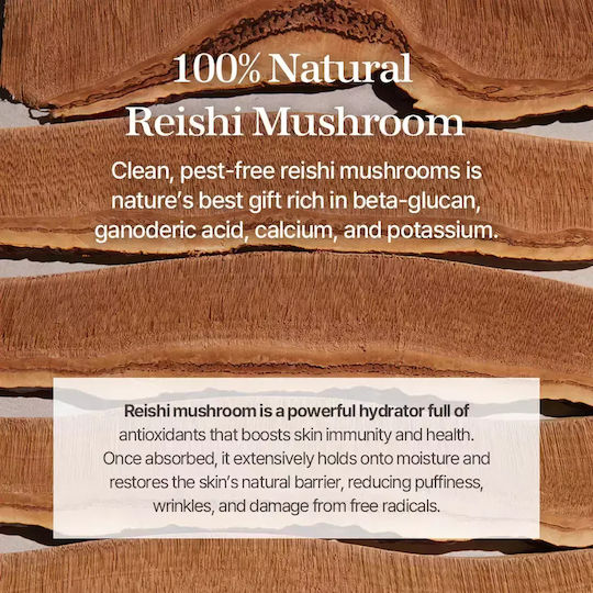Mixsoon Reishi Mushroom Moisturizing Essence Face for Detoxification 100ml