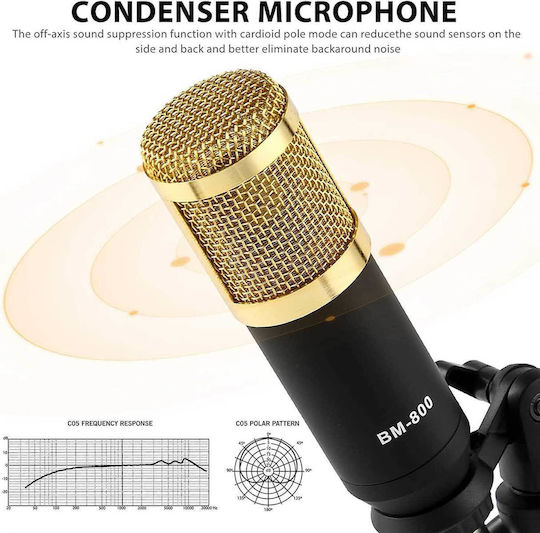 BM800 + F998 Digital Mischpult 12 Kanäle / 12 XLR-Eingänge & Bluetooth