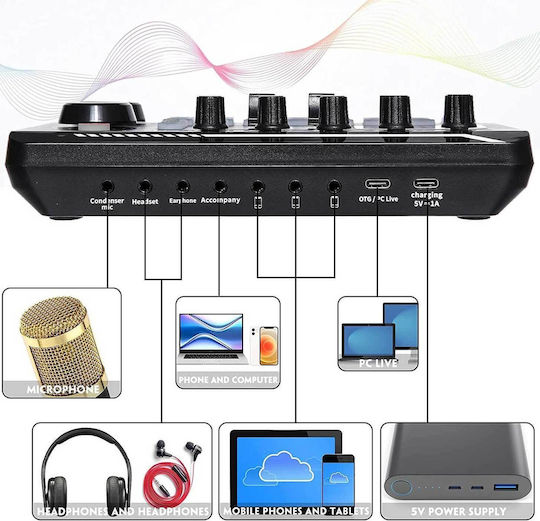 BM800 + F998 Digital Mischpult 12 Kanäle / 12 XLR-Eingänge & Bluetooth