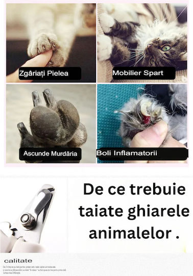 Onepet Pet Grooming Set Size Pieptene Mici pentru câini cu părul lung pentru Îngrijirea Blănii Albastru