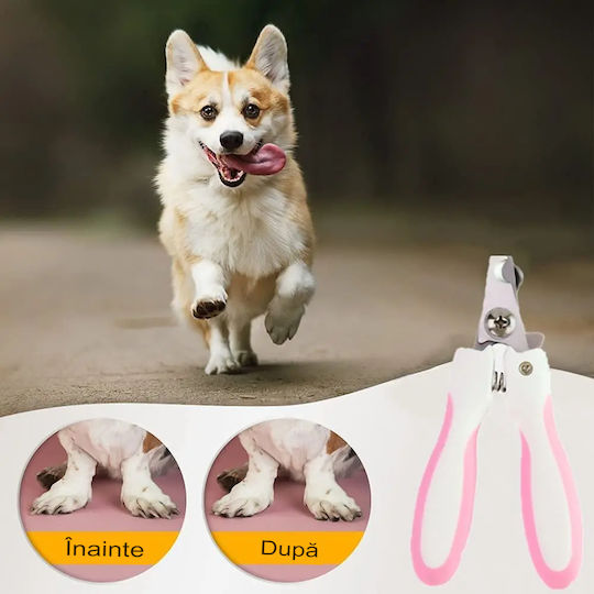 Onepet Pet Care Set Size Pieptene Mare pentru câini cu părul lung pentru Îngrijirea Blănii Fuchsia