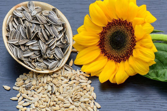Sunflower Seeds Caramelized Peeled Unsalted 500gr 90012-500