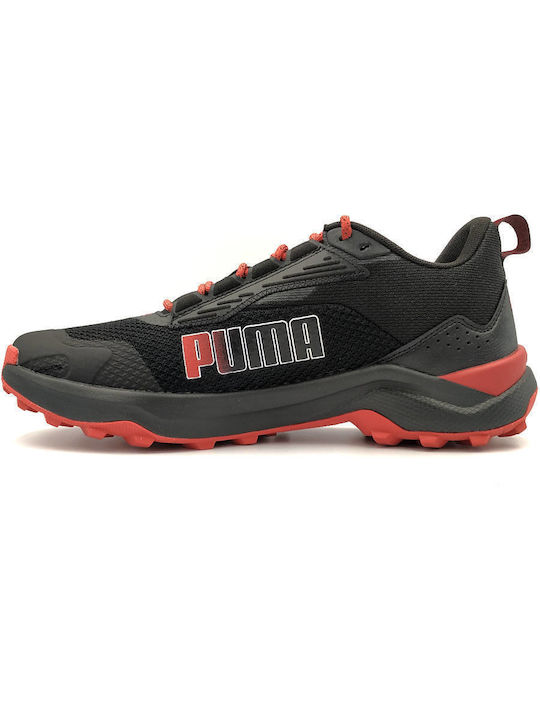 Puma Profoam Bold Wtr Herren Sportschuhe Trail Running Black / Bordeaux