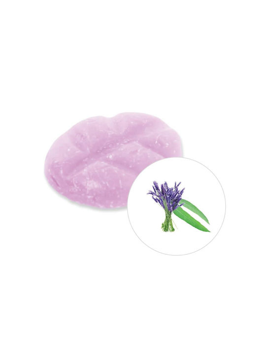 Scentchips Duft-Wax Melt mit Duft Eukalyptus & Lavendel 2700130 10Stück