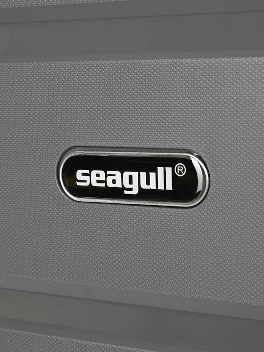 Diplomat Medium The Seagull Collection Medium Travel Suitcase Hard Gray with 4 Wheels Height 66cm
