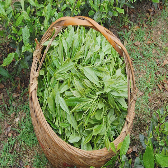 Τσαι Ασπρο Bai Mu Dan Κινας 30 Gr