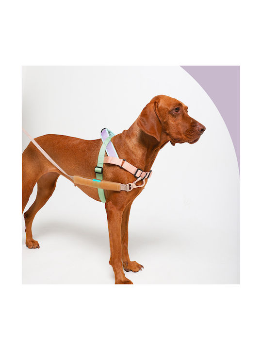 Zee-Dog Εκπαιδευτικό Softer Walk Small Zee-Dog Εκπαιδευτικό Softer Walk Small