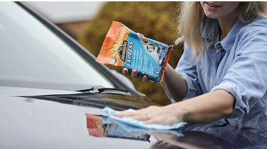 Armor All Car Upholstery Cleaning Pads