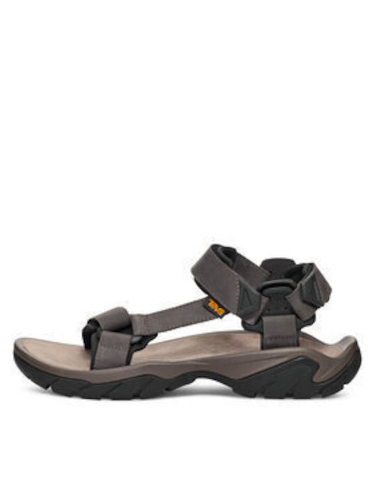 Teva