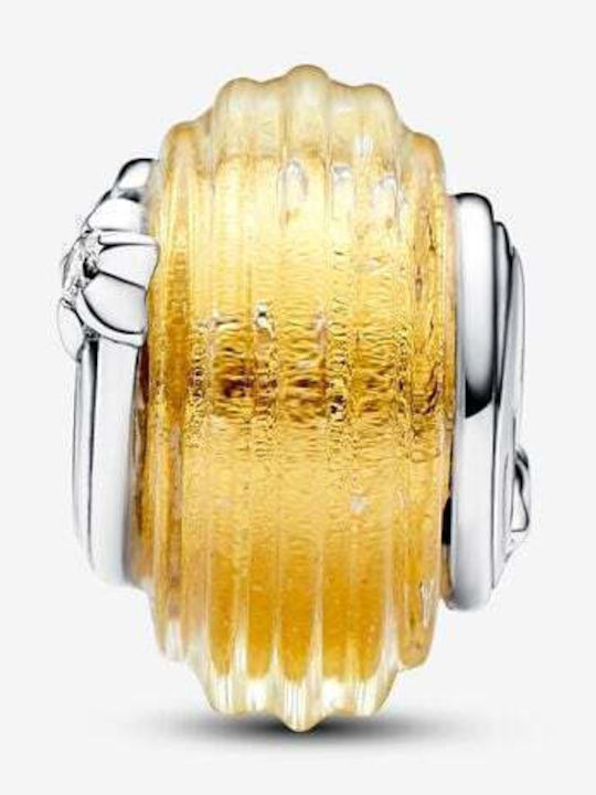 Pandora Charm Pandora Charm