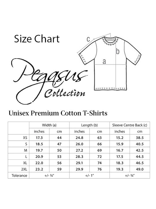 Pegasus Kids' T-shirt Black