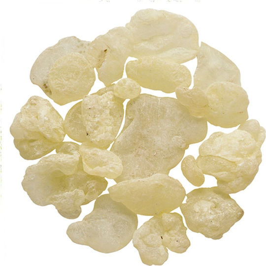 Mastică Chios 5 Gr