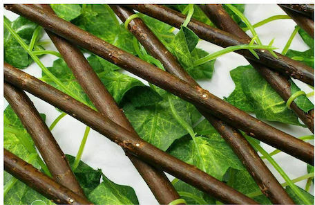 Foliu artificial în Trellis 1x2m Foliu artificial în Trellis 1x2m
