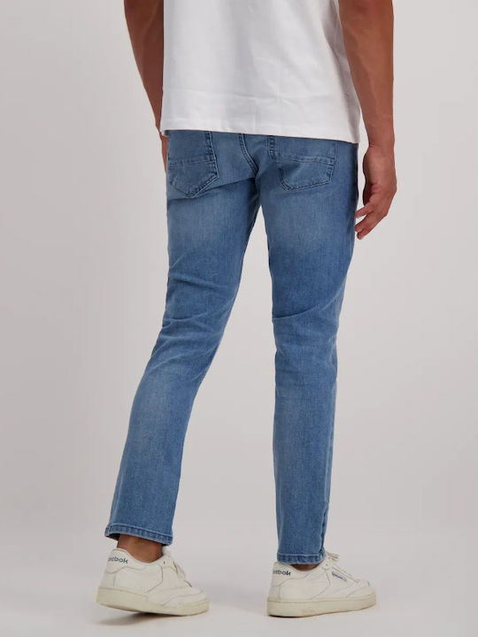 Cars Jeans Cars Jeans