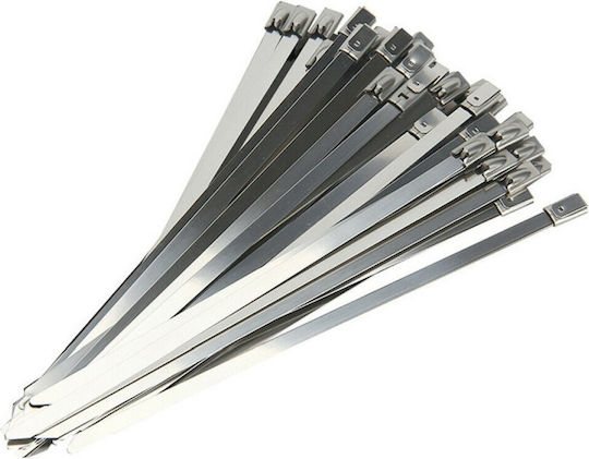 E-Sea Δεματικό Καλωδίων Πλαστικό 250mmx4.6mm σε Ασημί χρώμα (1τμχ) (25862)