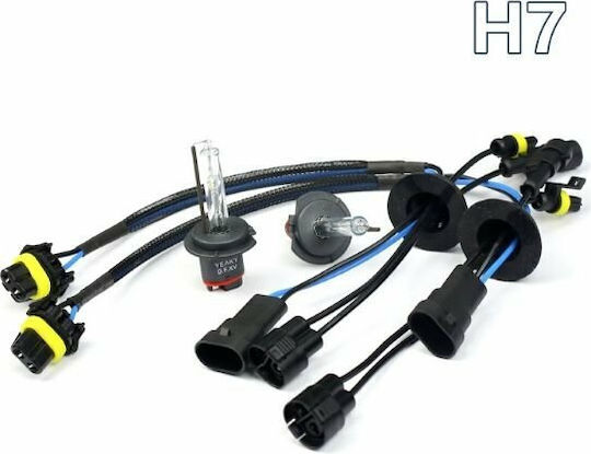Bizzar Lamps Car Xenon 6500K Cold White 35W 1pcs