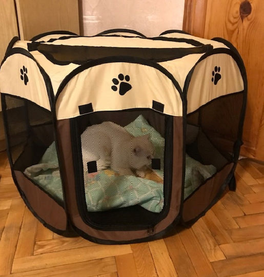 Parc pentru Câini de Culoare Bej 112 x 112 x 112cm