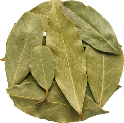 Bay Leaves Whole Greece 20 Gr