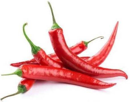 Πιπερι Κοκκινο Τσιλι Ινδιων Capsicum Frutescens 20 Gr