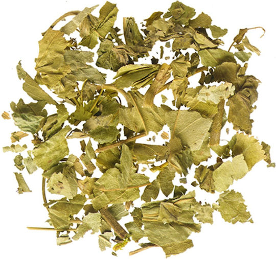Alchemilli Leaf Cut Turkey 30 Gr