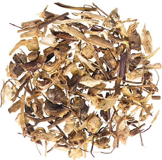 Εχινακεια Echinacea Ριζα Κομμενη Αμερικης 20 Gr