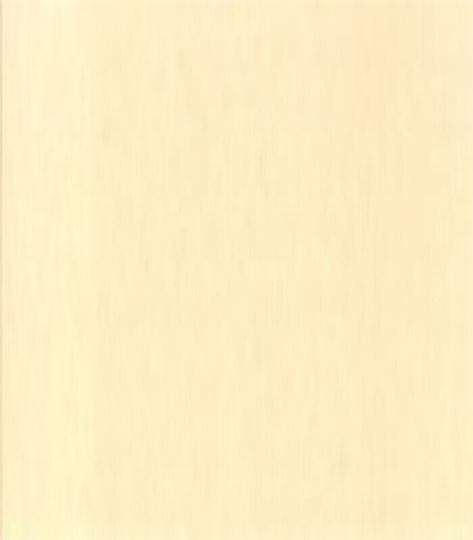 Mercola Wood Putty Acrylic Oregon 200gr
