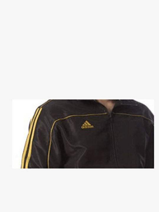 Team Black/gold Trainingsanzug Glänzend ohne Gummizug Schwarz