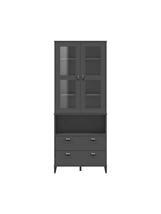 Boden Wohnzimmer-Vitrine mit Glas Charcoal Grey 80x40x200cm