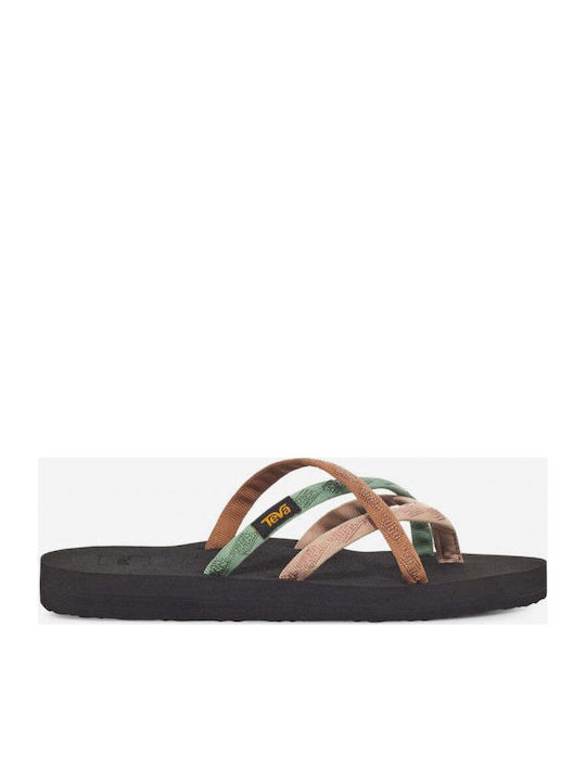 Teva